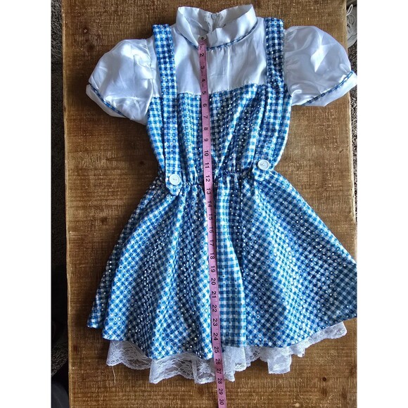 Dorothy wizard of Oz costume child size medium - Picture 8 of 10